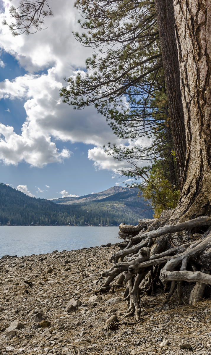 Donner Lake landscape