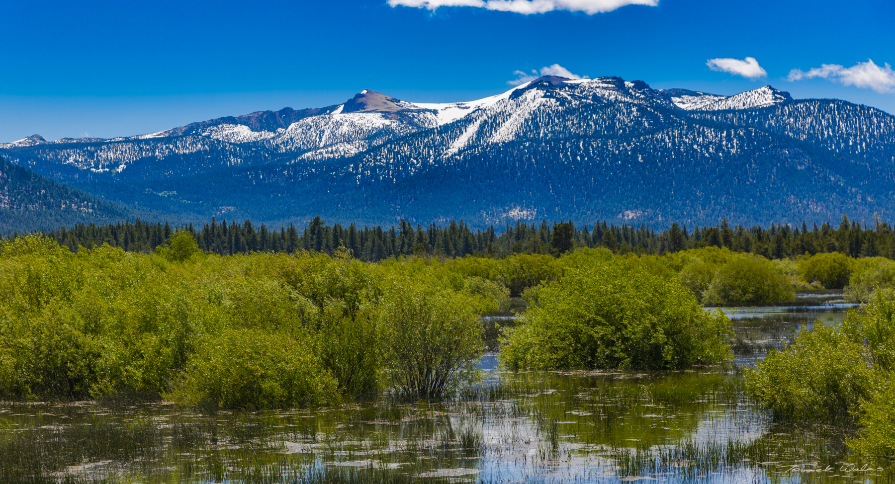 Lake Tahoe landscape