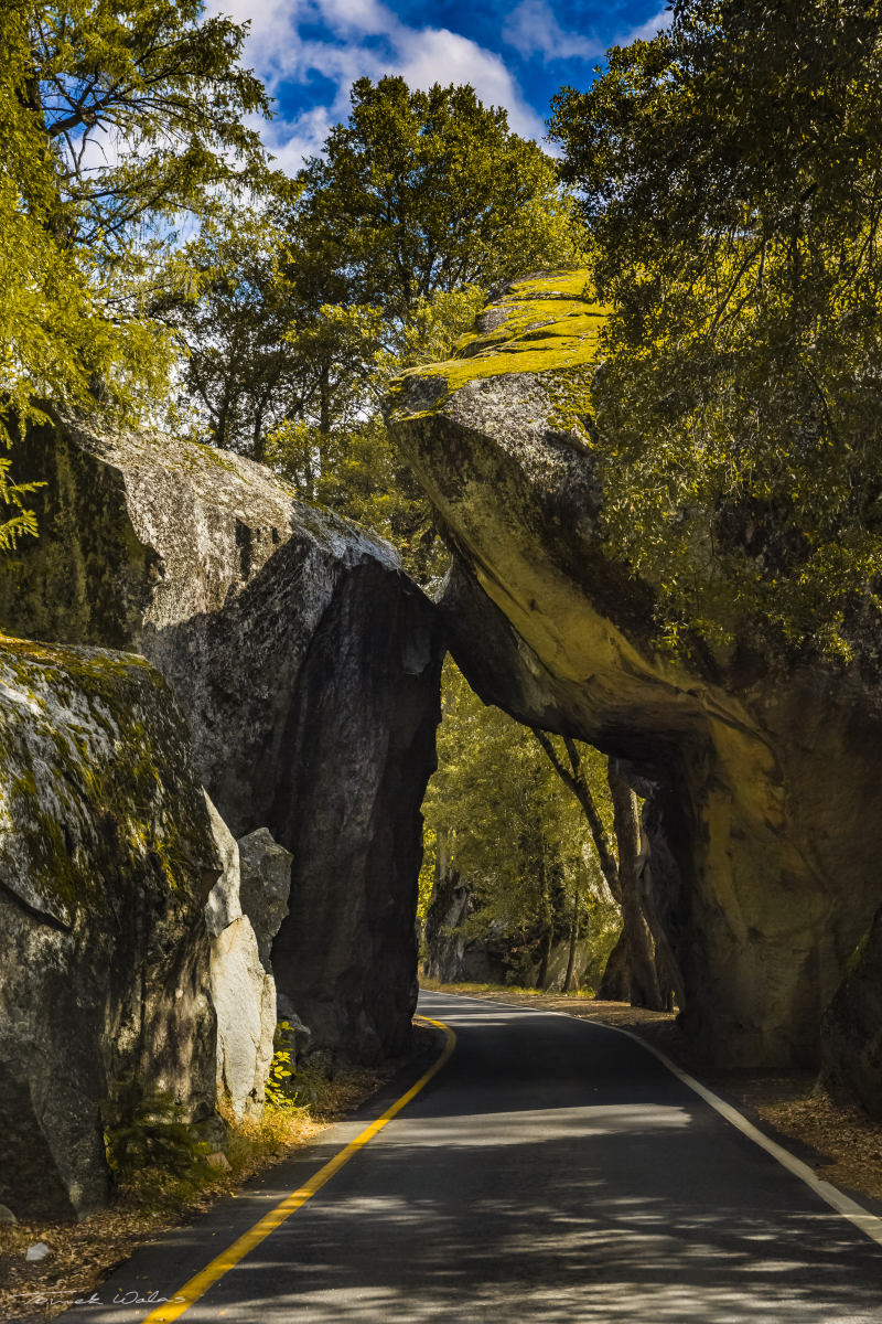 Yosemite landscape