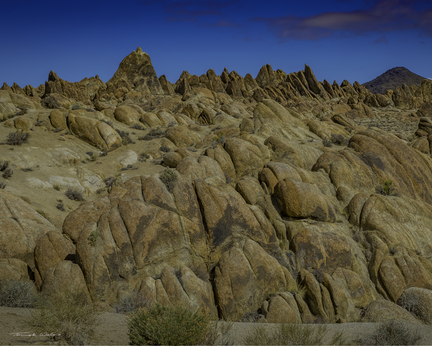 Eastern Sierra landscape