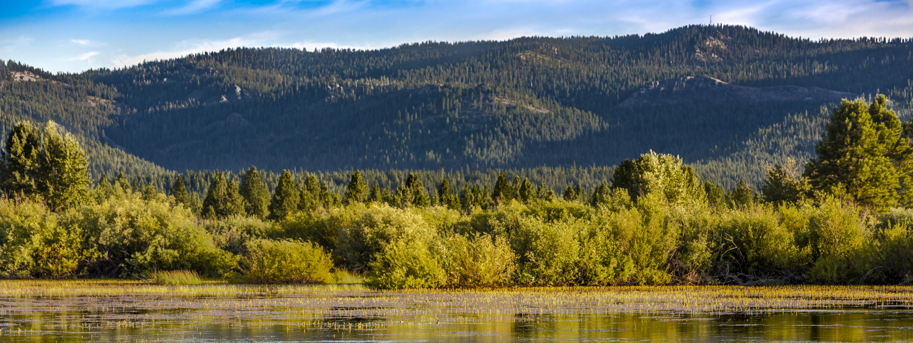 Almanor Lake landscape