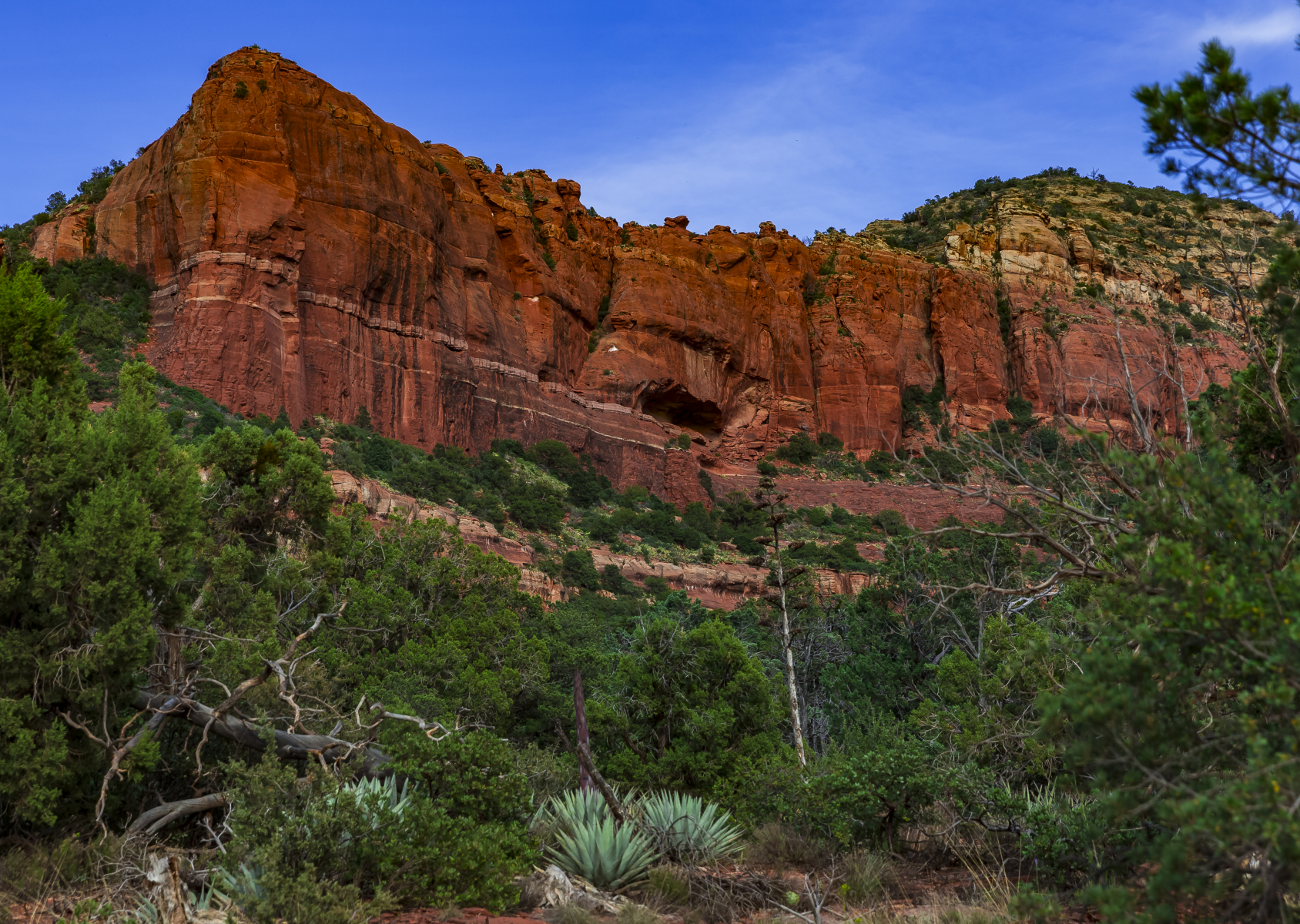 Sedona landscape