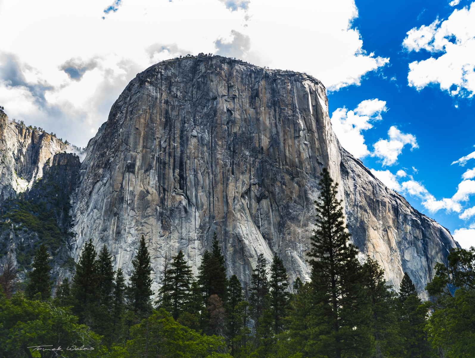 Yosemite landscape