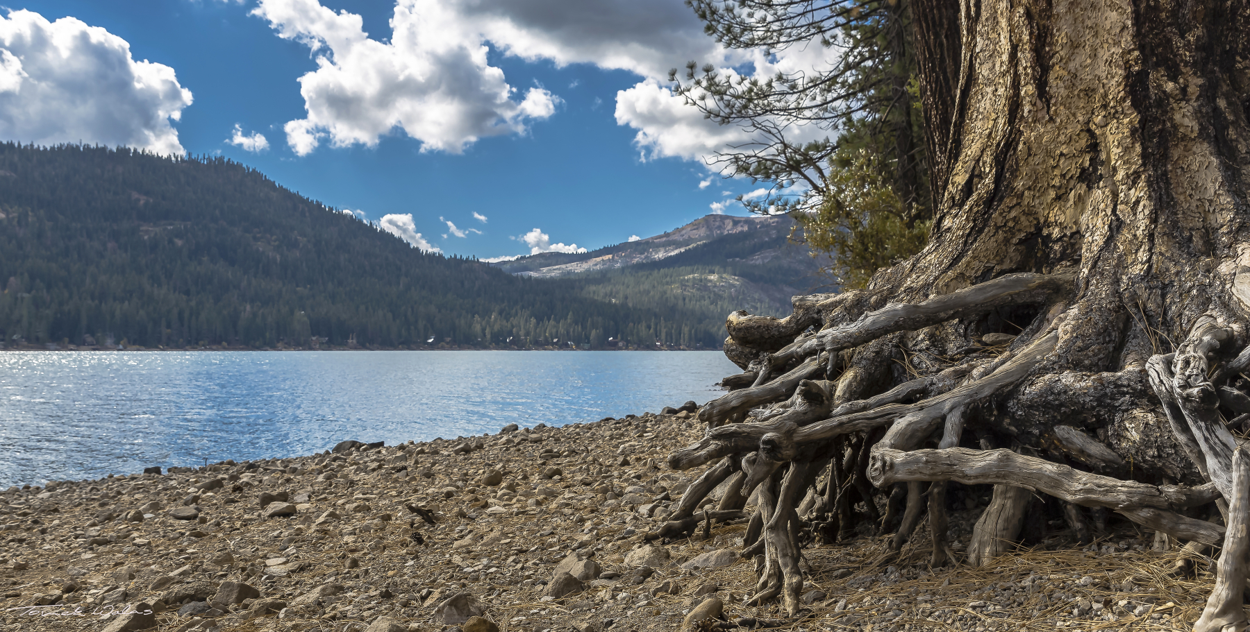 Donner Lake landscape