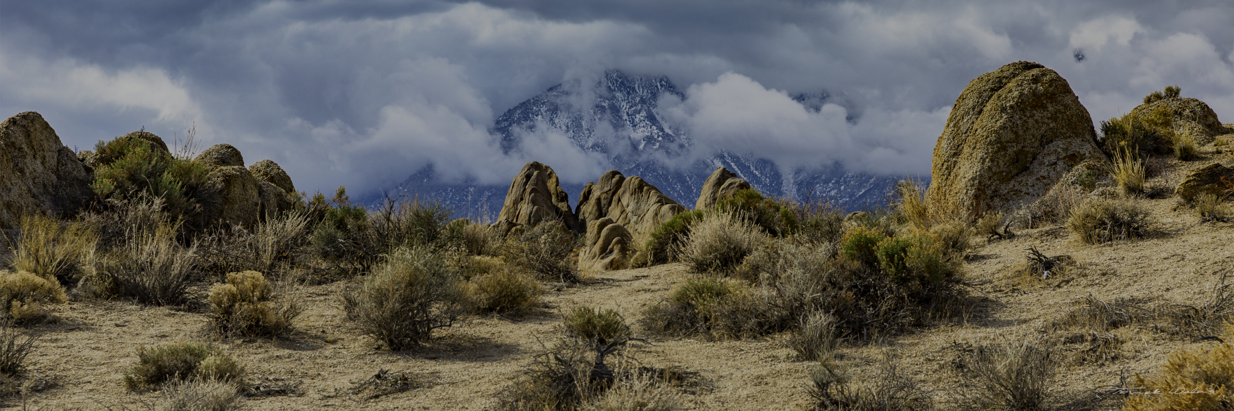 Eastern Sierra landscape