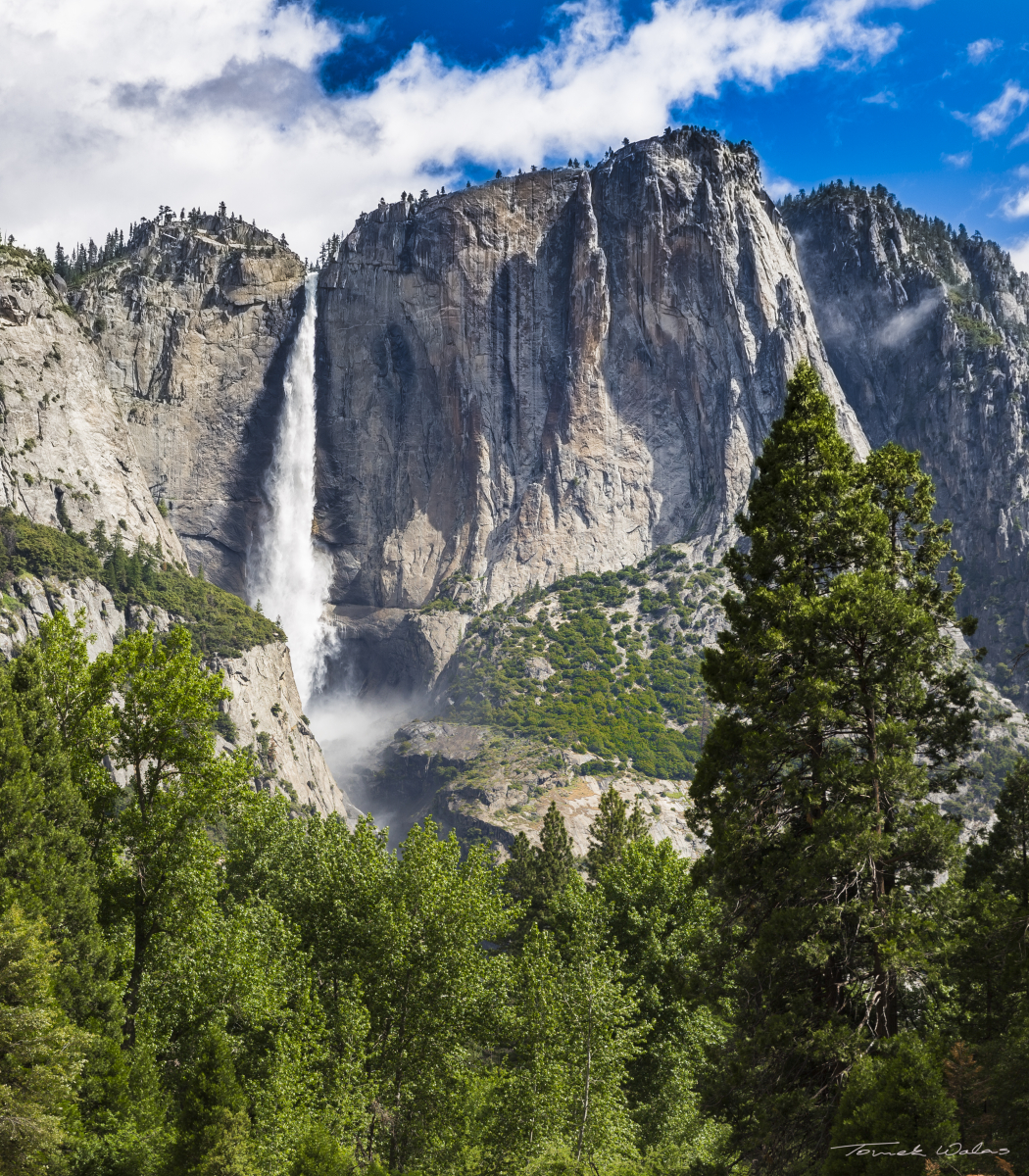 Yosemite landscape