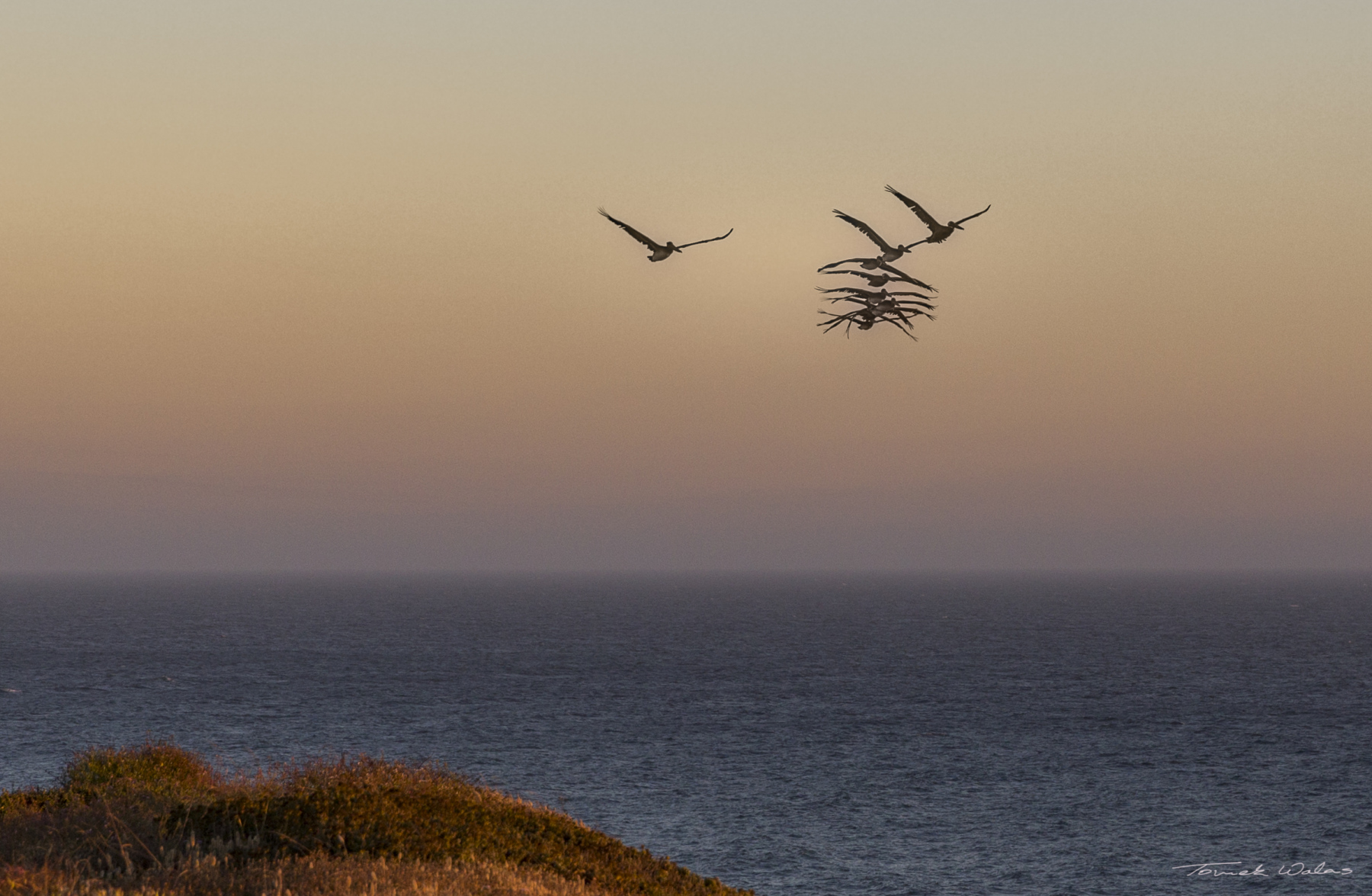 Davenport coastal landscape