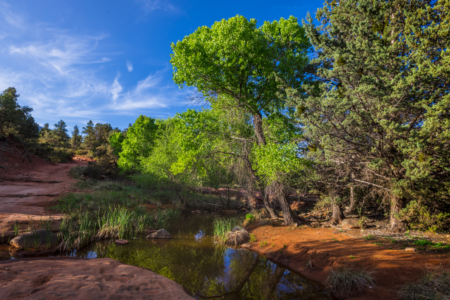 Sedona landscape