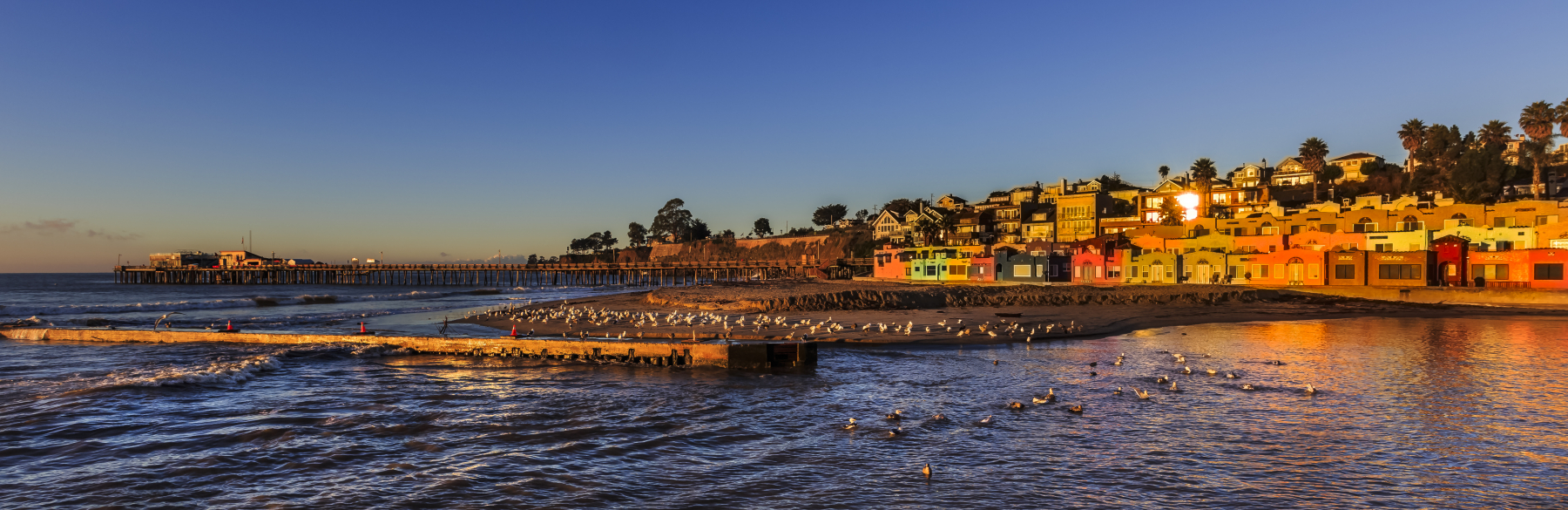 Santa Cruz landscape