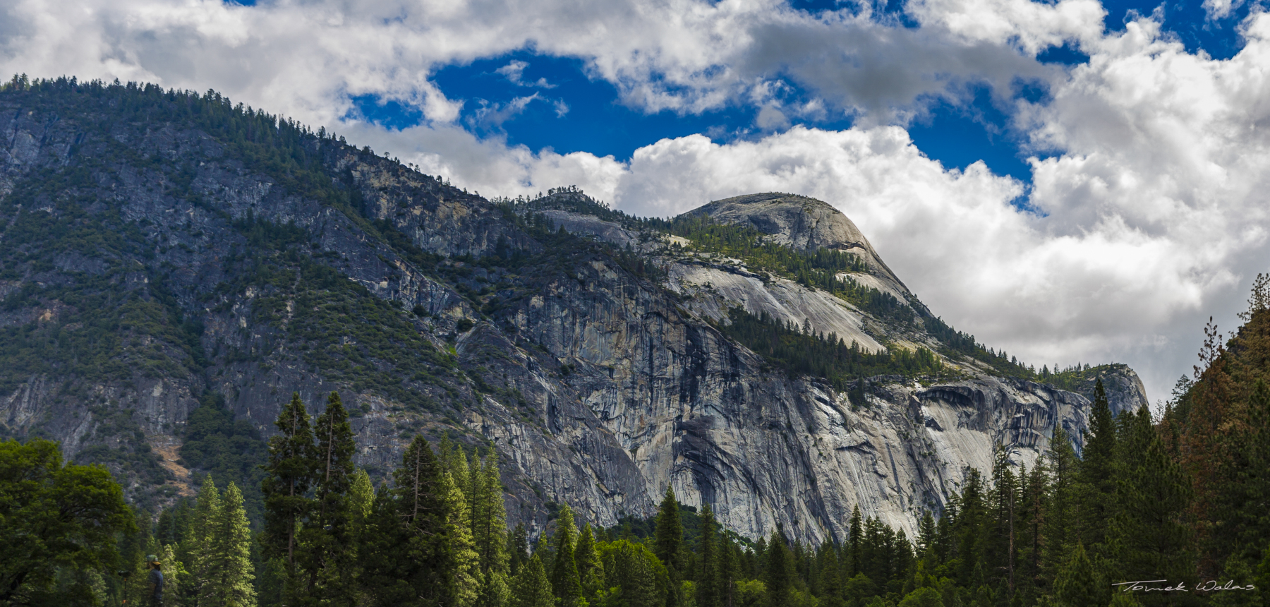 Yosemite landscape