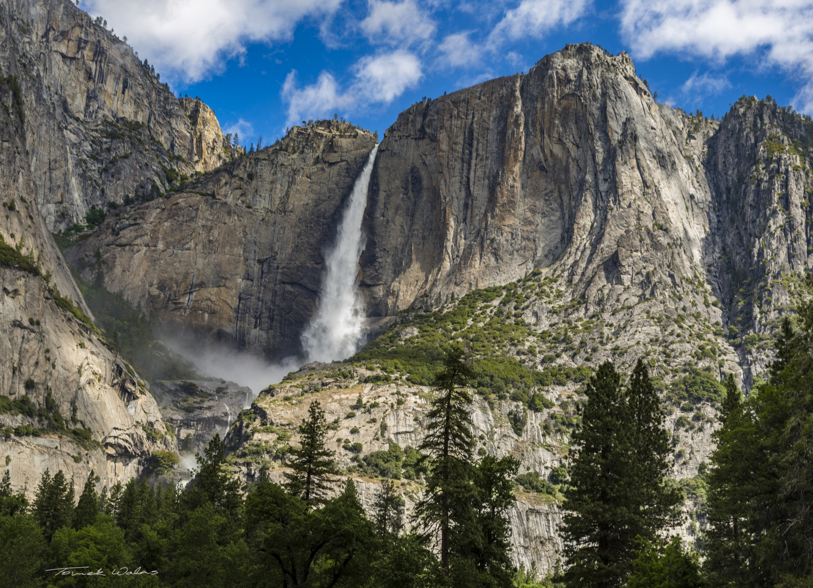 Yosemite landscape