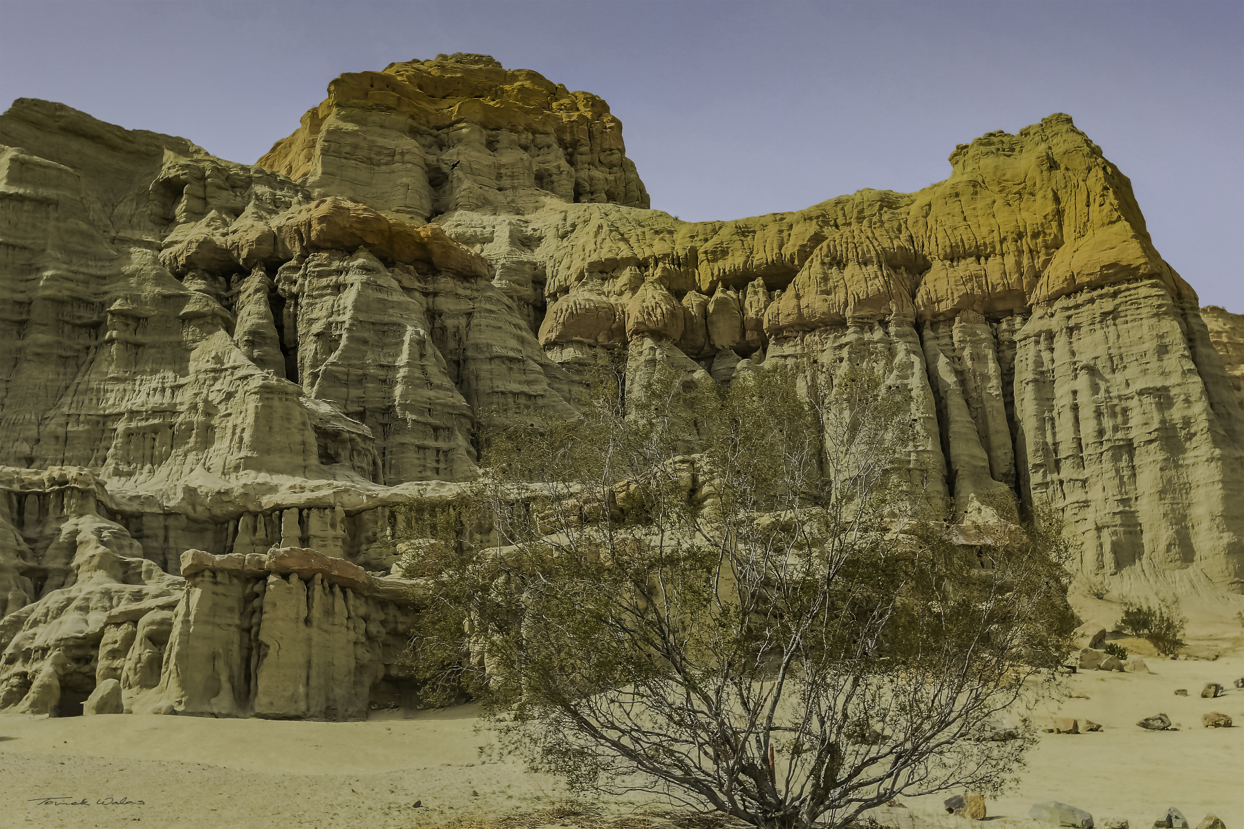 Red Rock State landscape