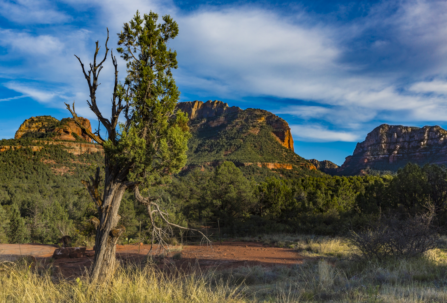 Sedona landscape