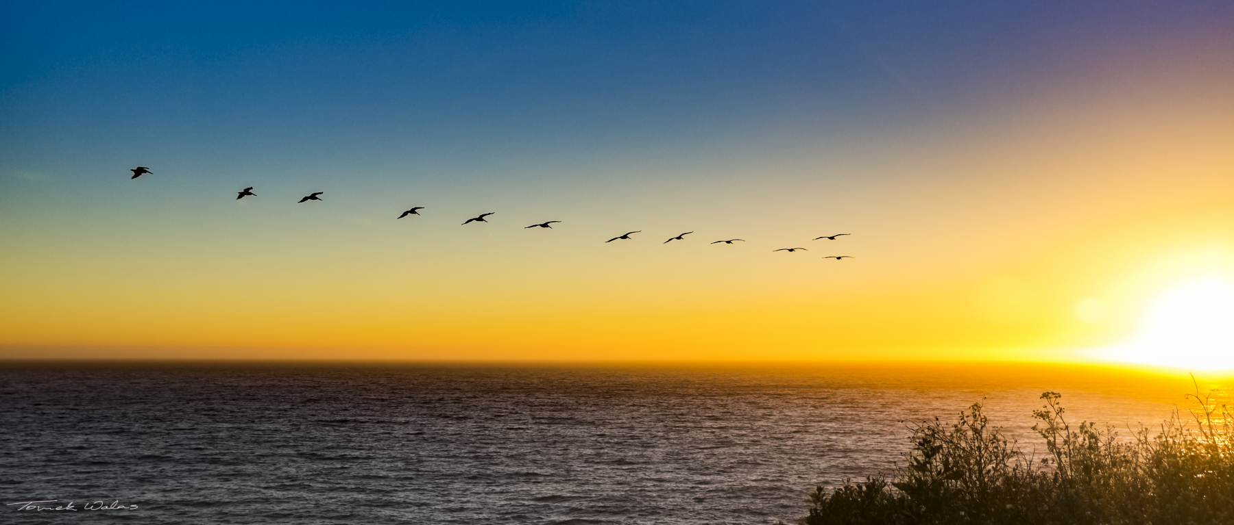 Davenport coastal landscape