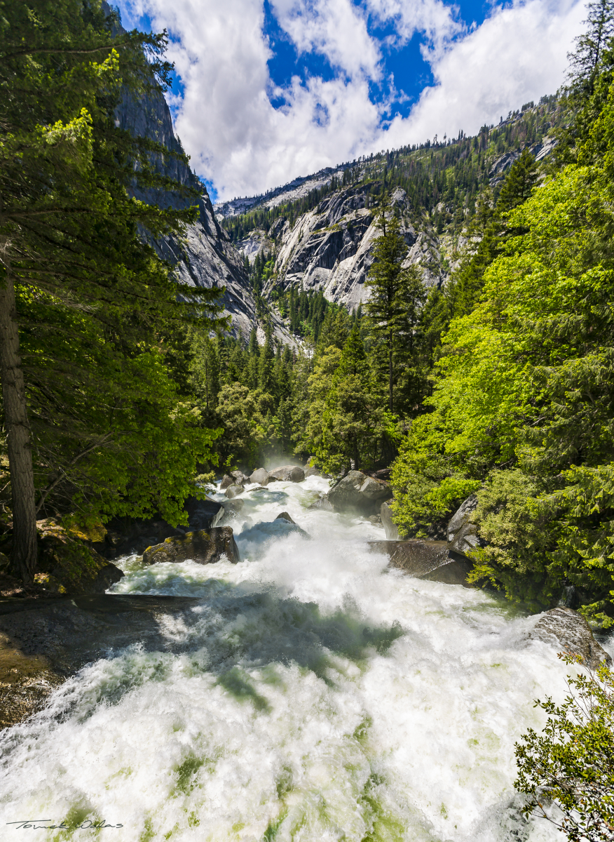 Yosemite landscape
