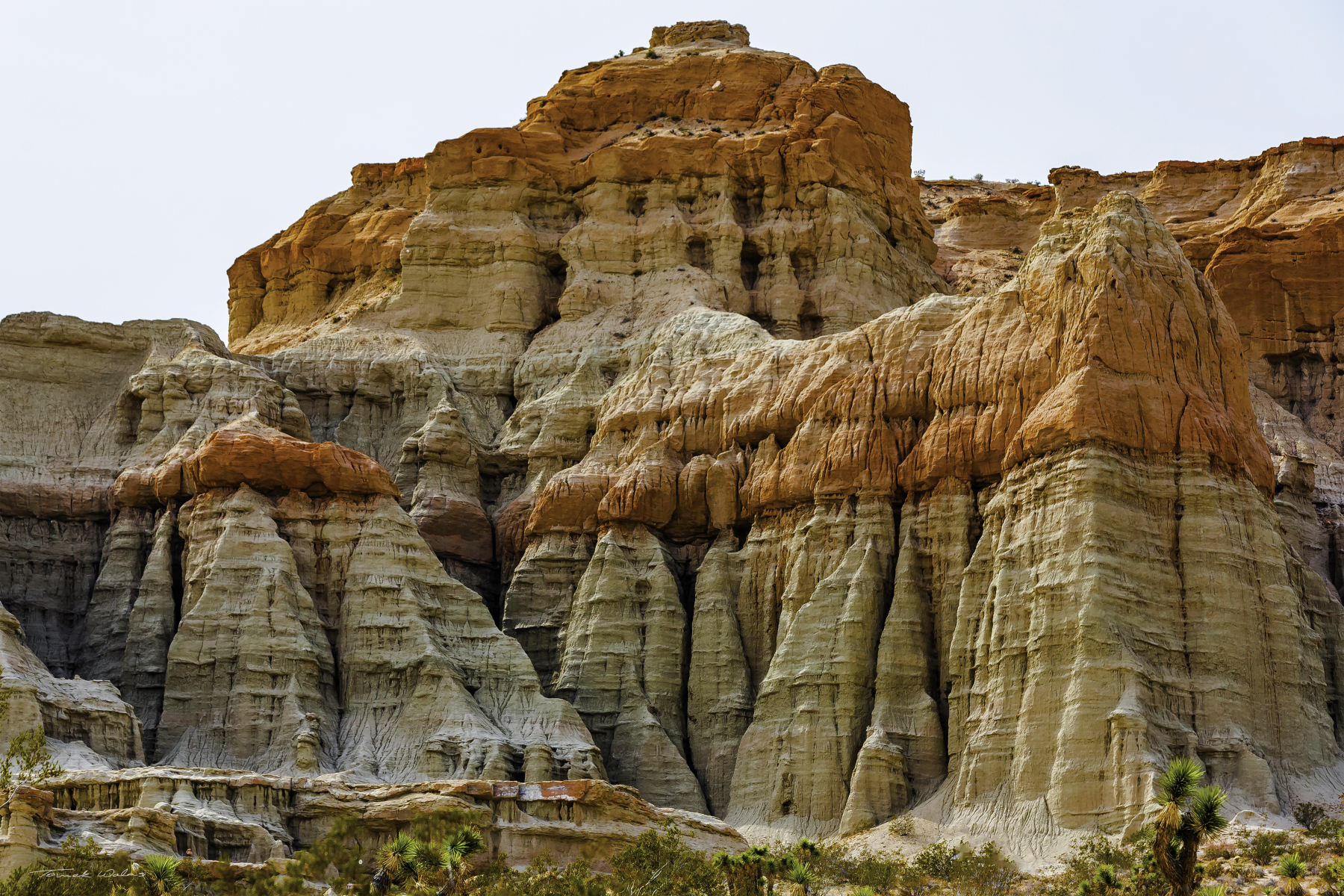 Red Rock State landscape