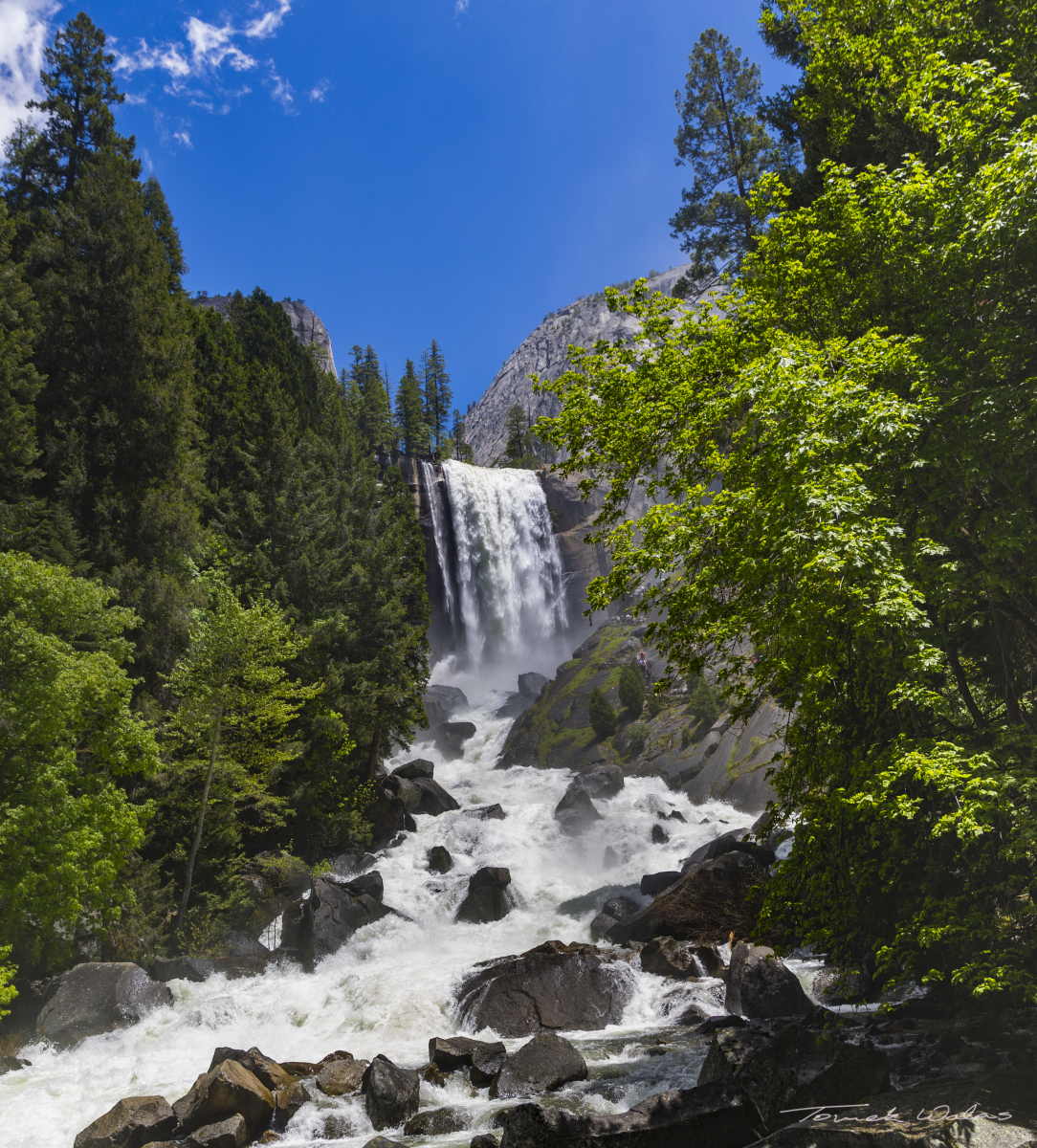 Yosemite landscape