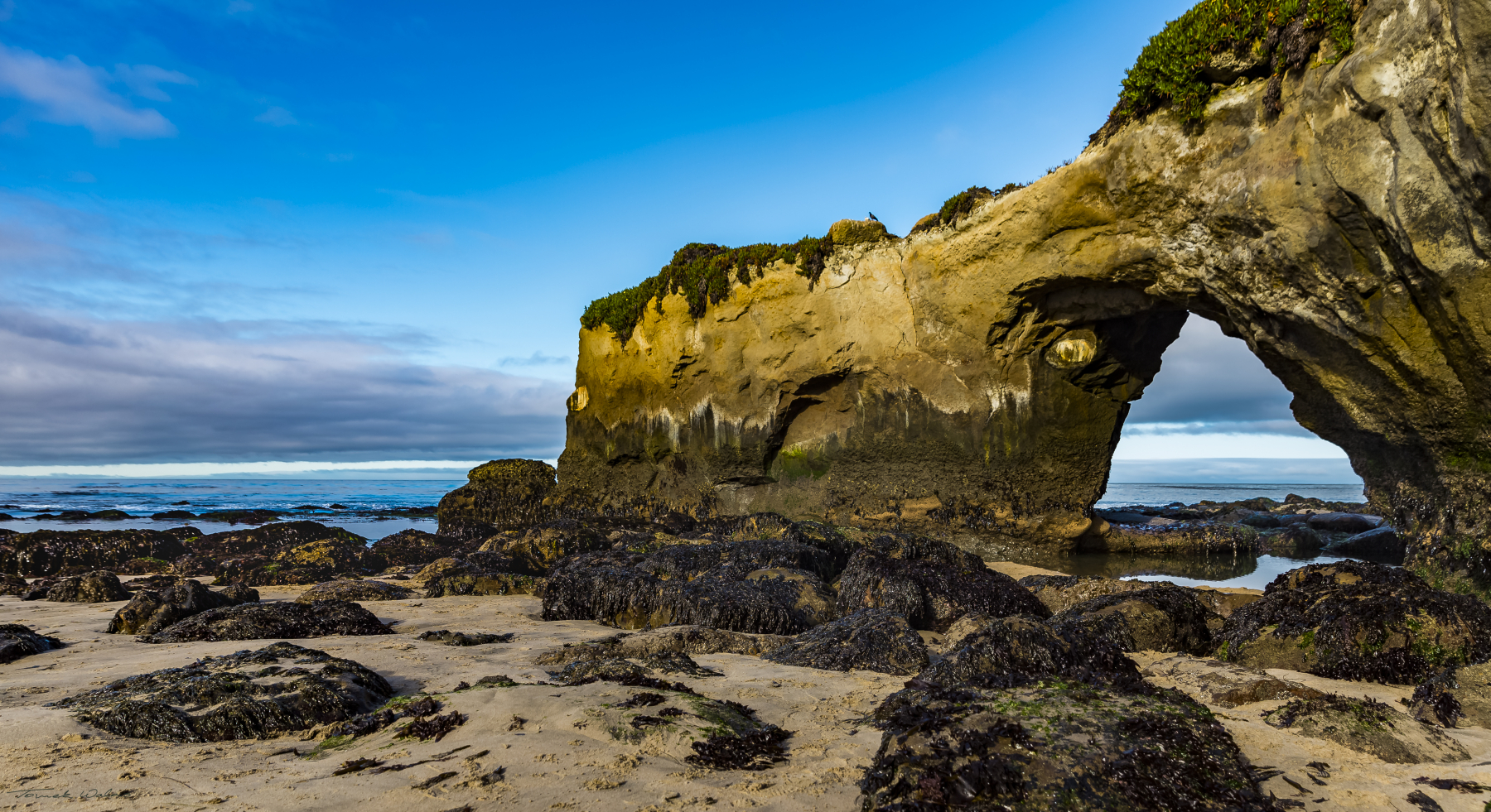 Santa Cruz landscape