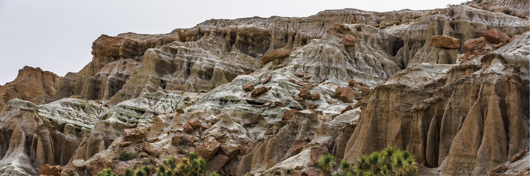 Red Rock State landscape