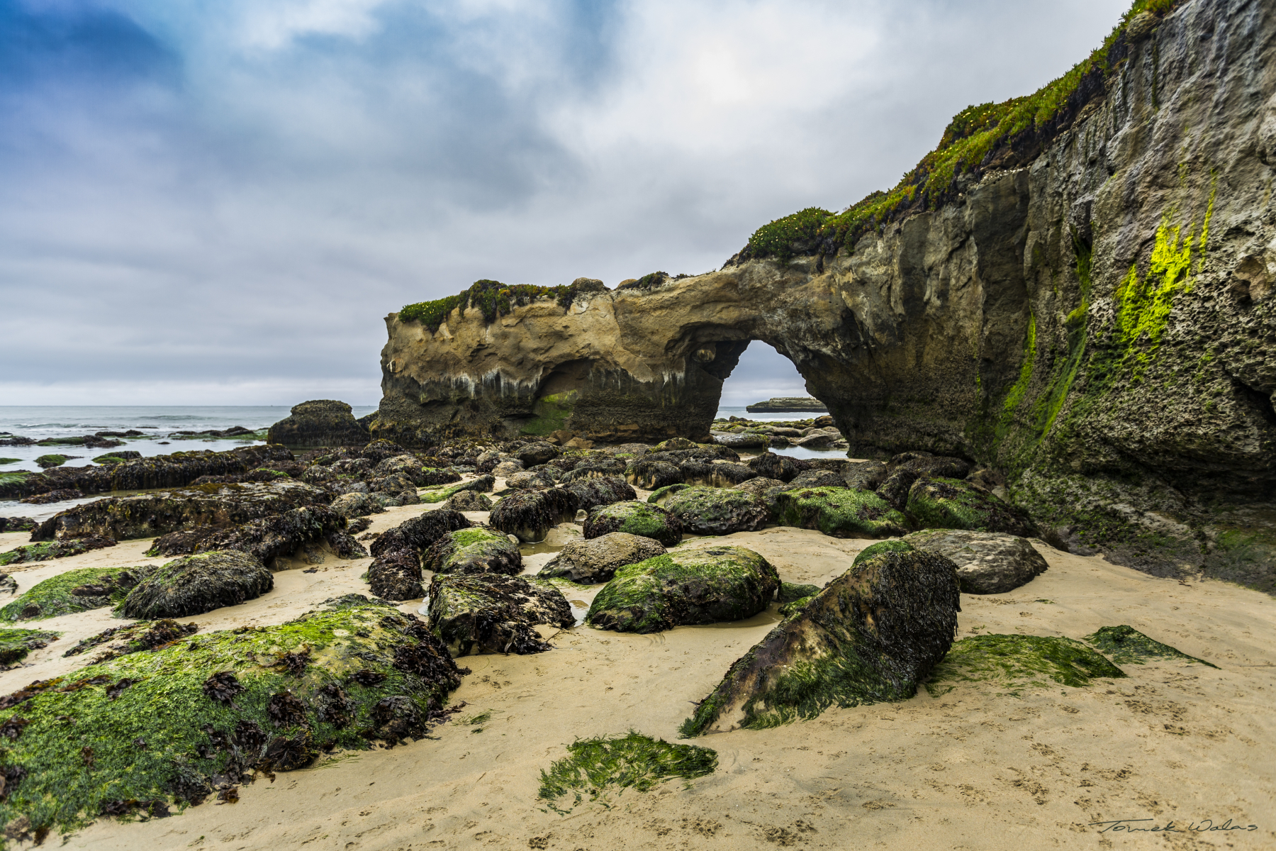 Santa Cruz landscape
