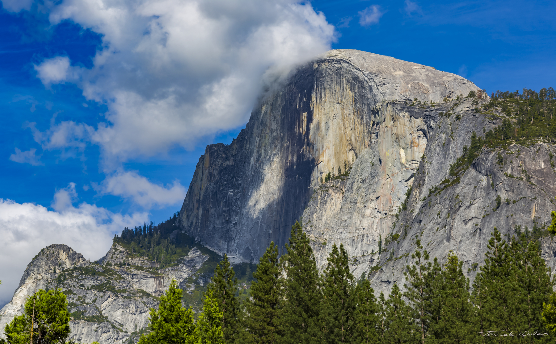 Yosemite landscape