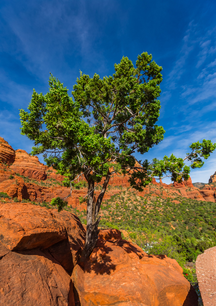 Sedona landscape