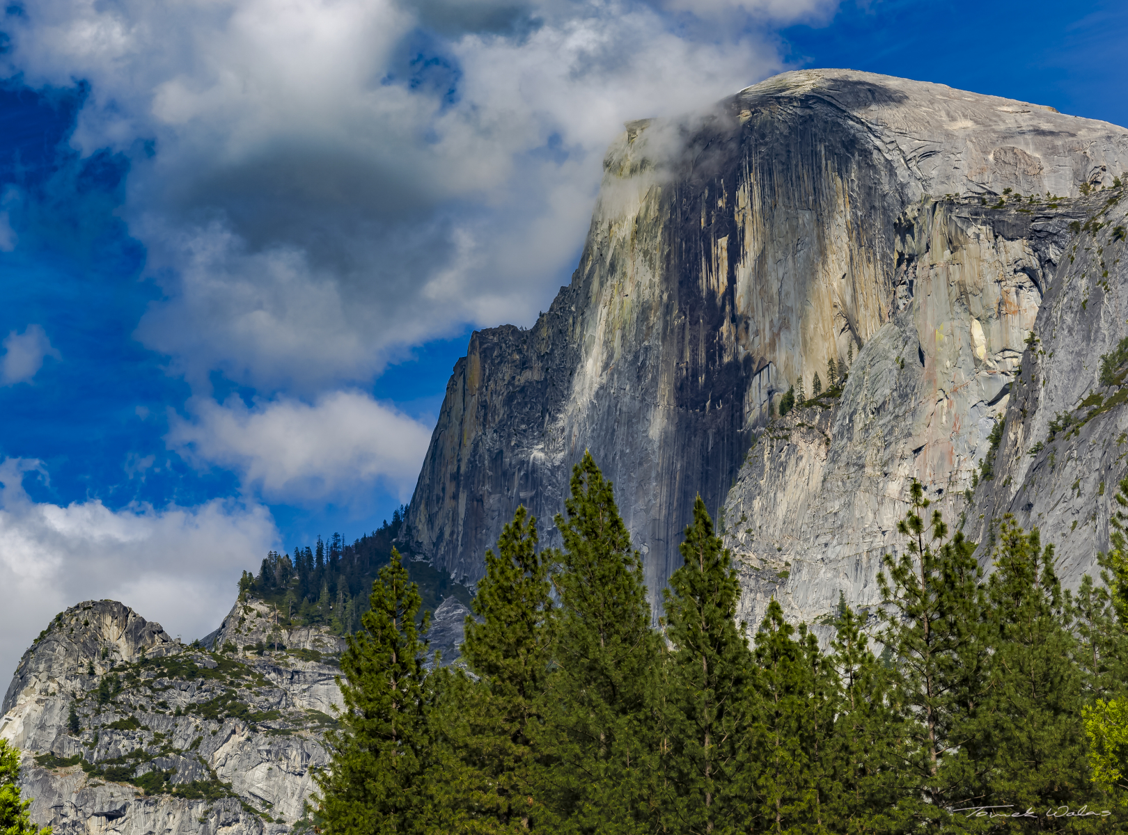 Yosemite landscape