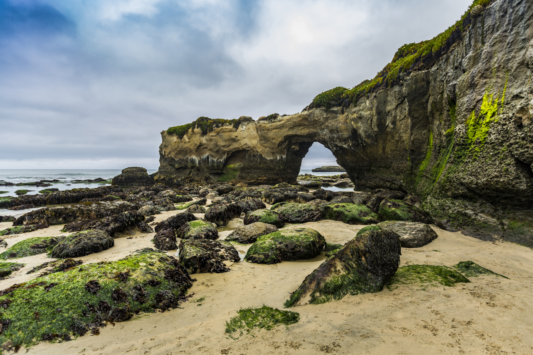 Santa Cruz landscape
