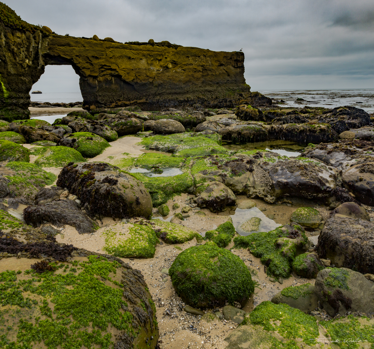 Santa Cruz landscape
