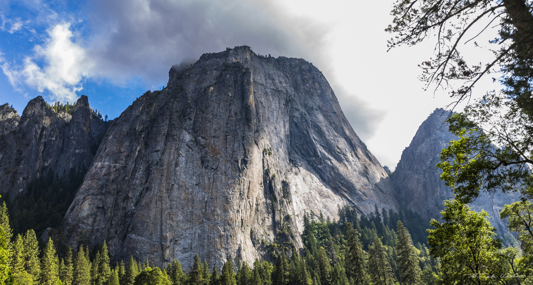 Yosemite landscape