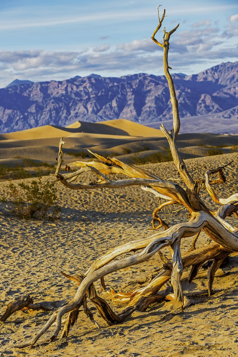 Death Valley landscape