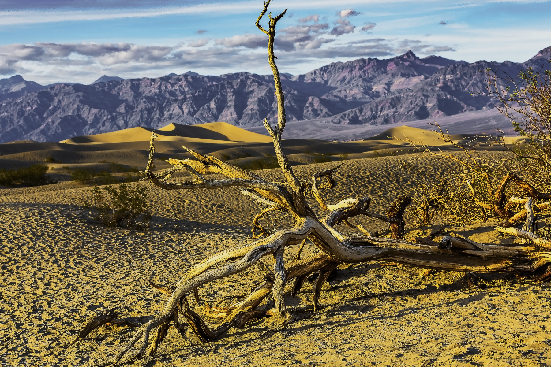 Death Valley landscape