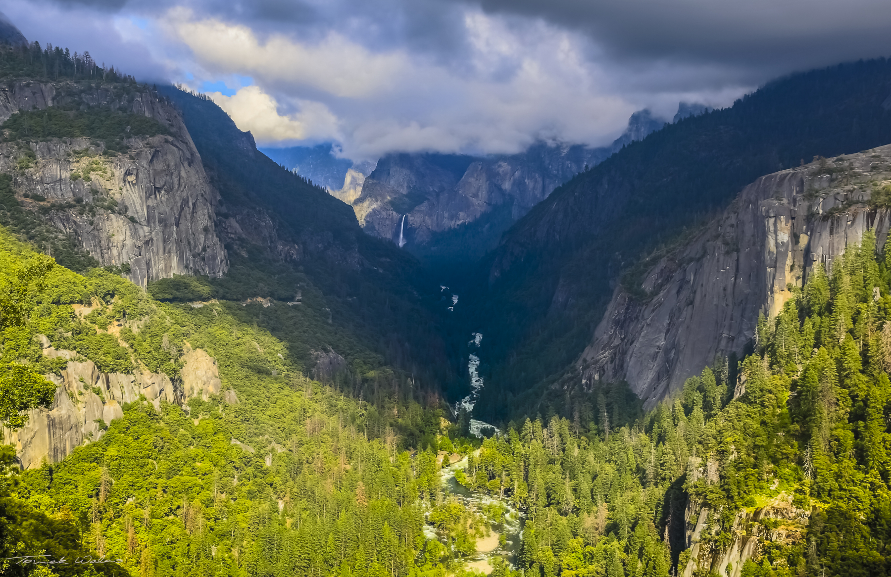 Yosemite landscape