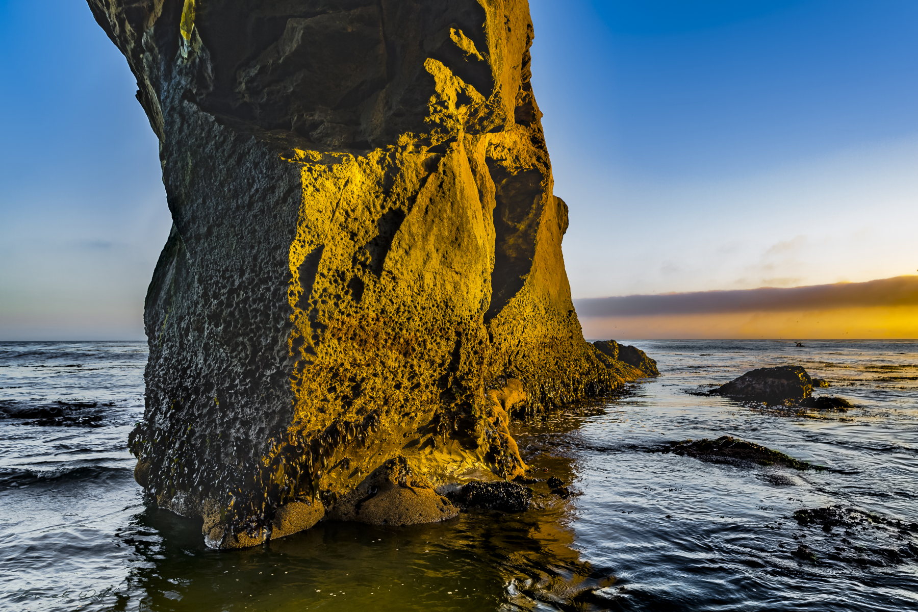 Santa Cruz landscape