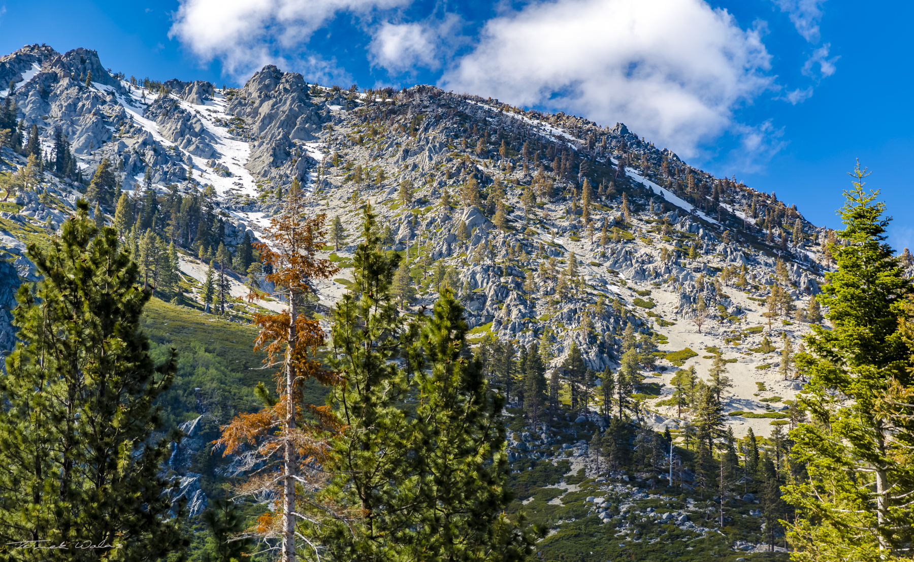 Lake Tahoe landscape