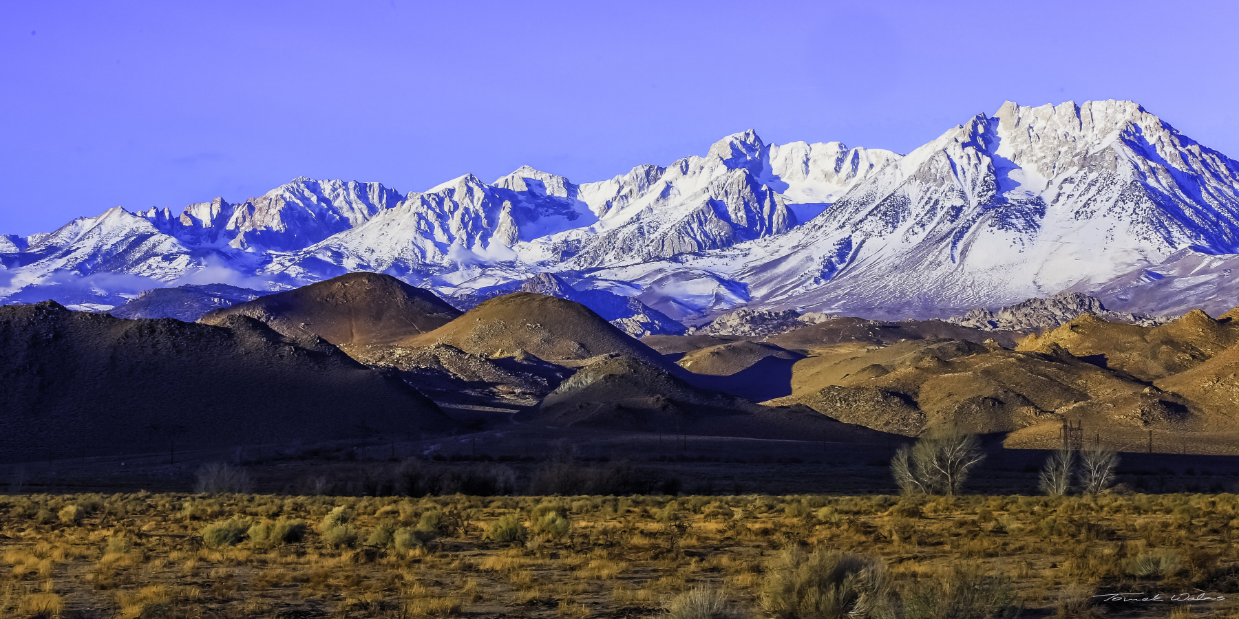 Eastern Sierra landscape