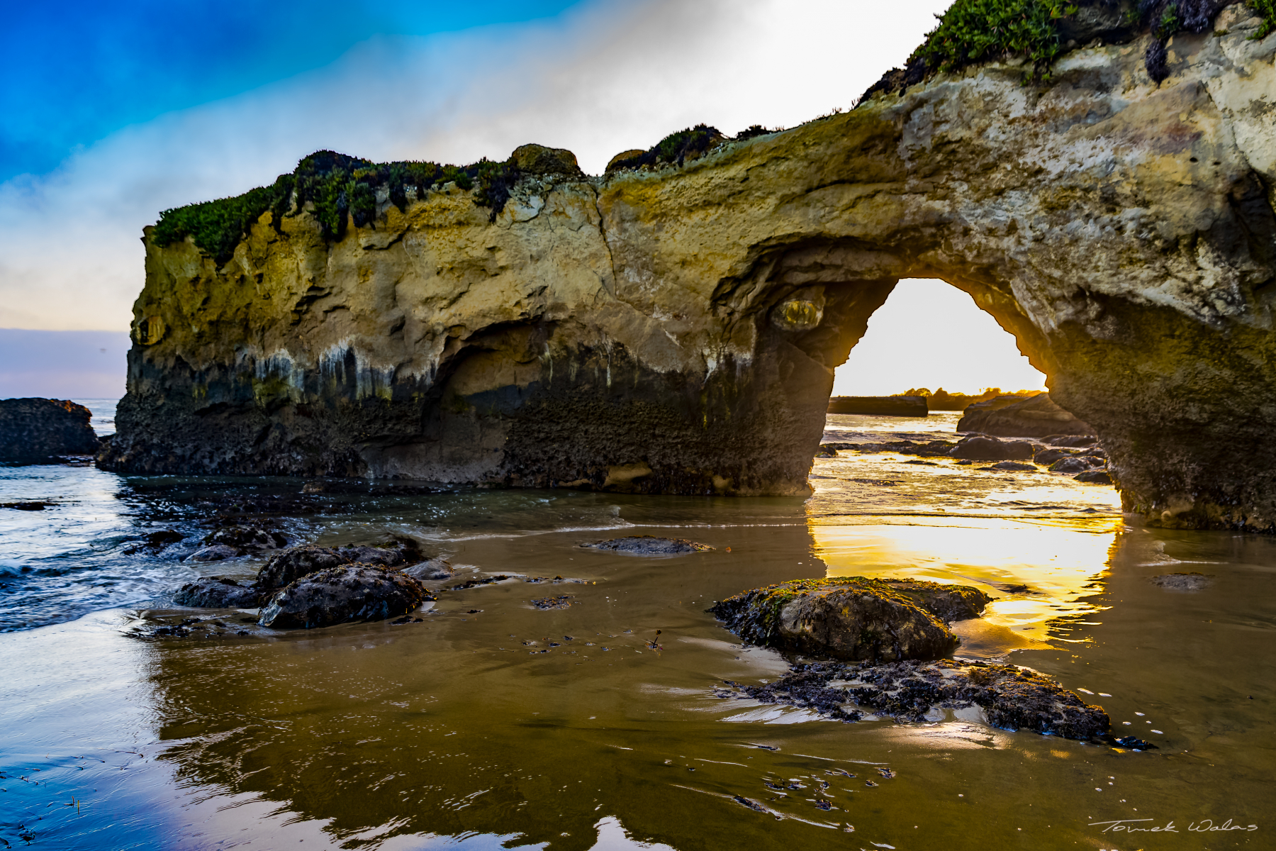 Santa Cruz landscape