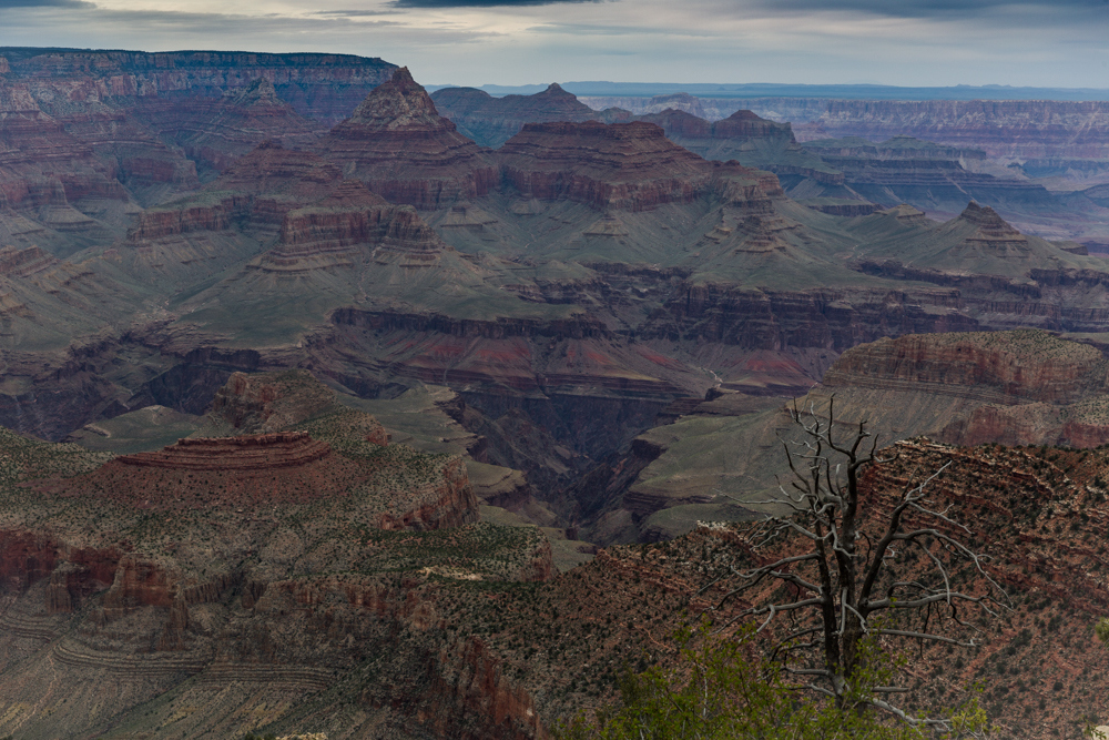 Sedona landscape