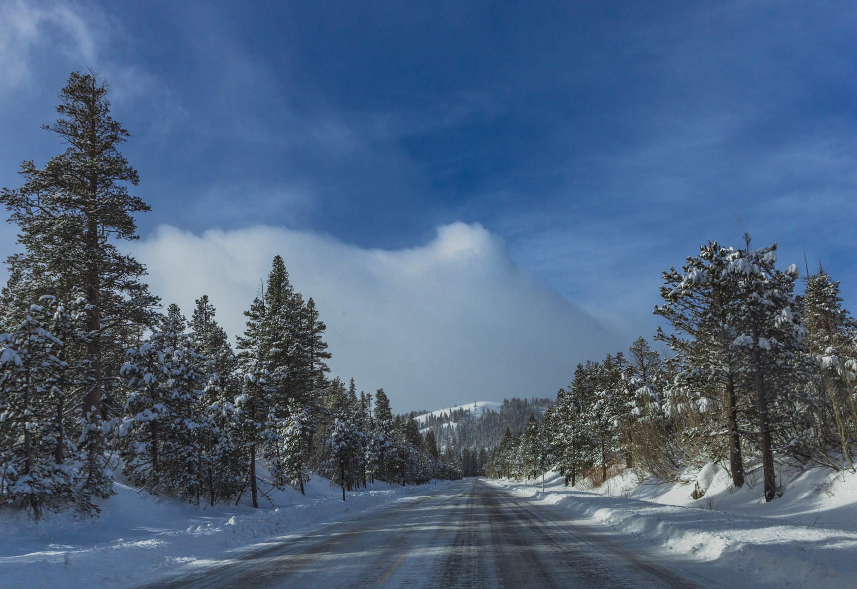 Eastern Sierra landscape
