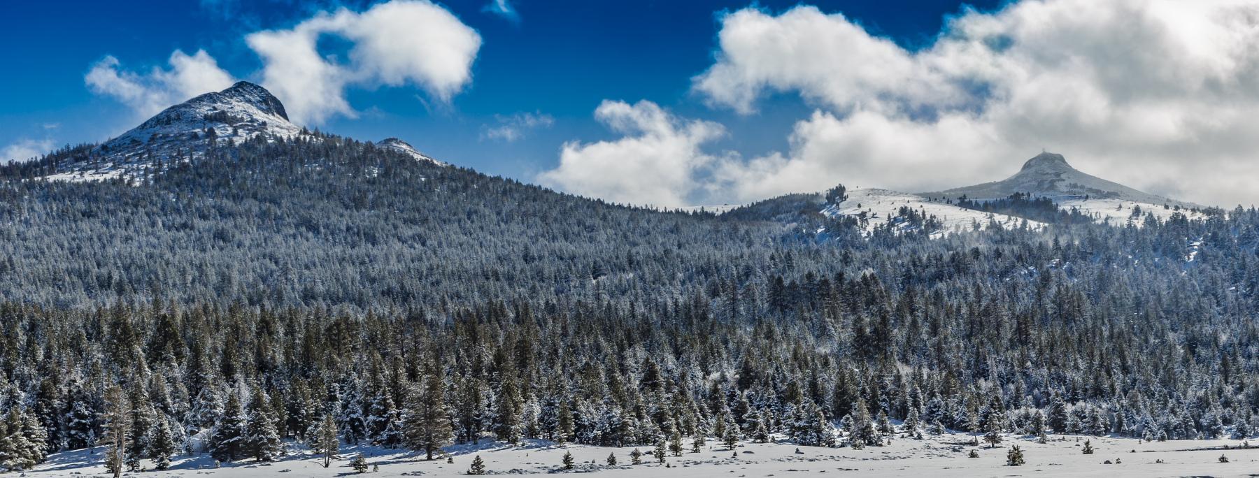 Eastern Sierra landscape