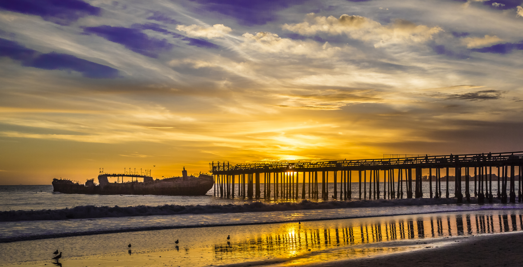 Santa Cruz landscape