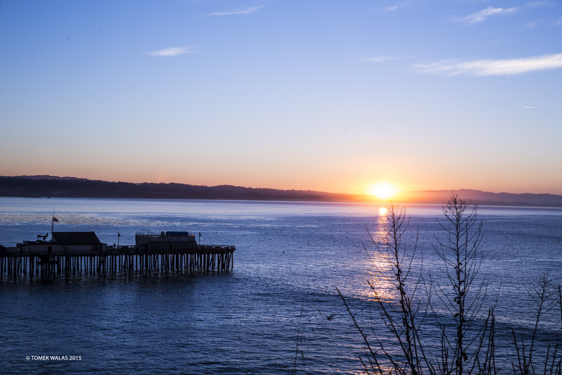 Santa Cruz landscape