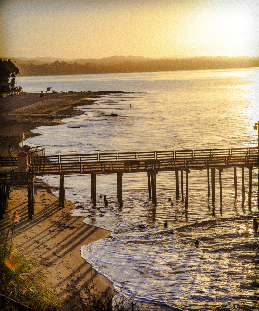 Santa Cruz landscape