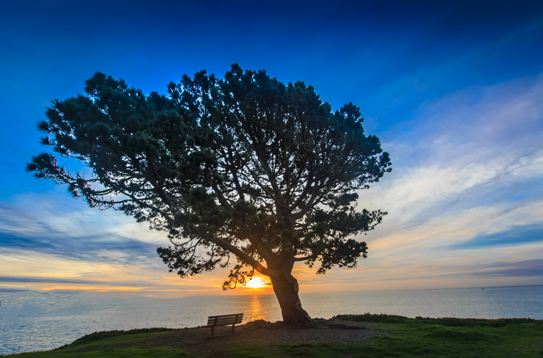Santa Cruz landscape