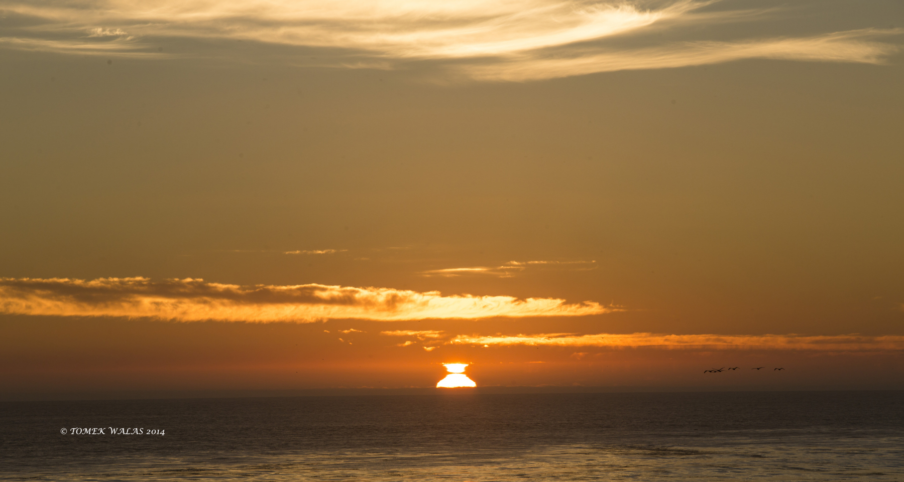 Santa Cruz landscape