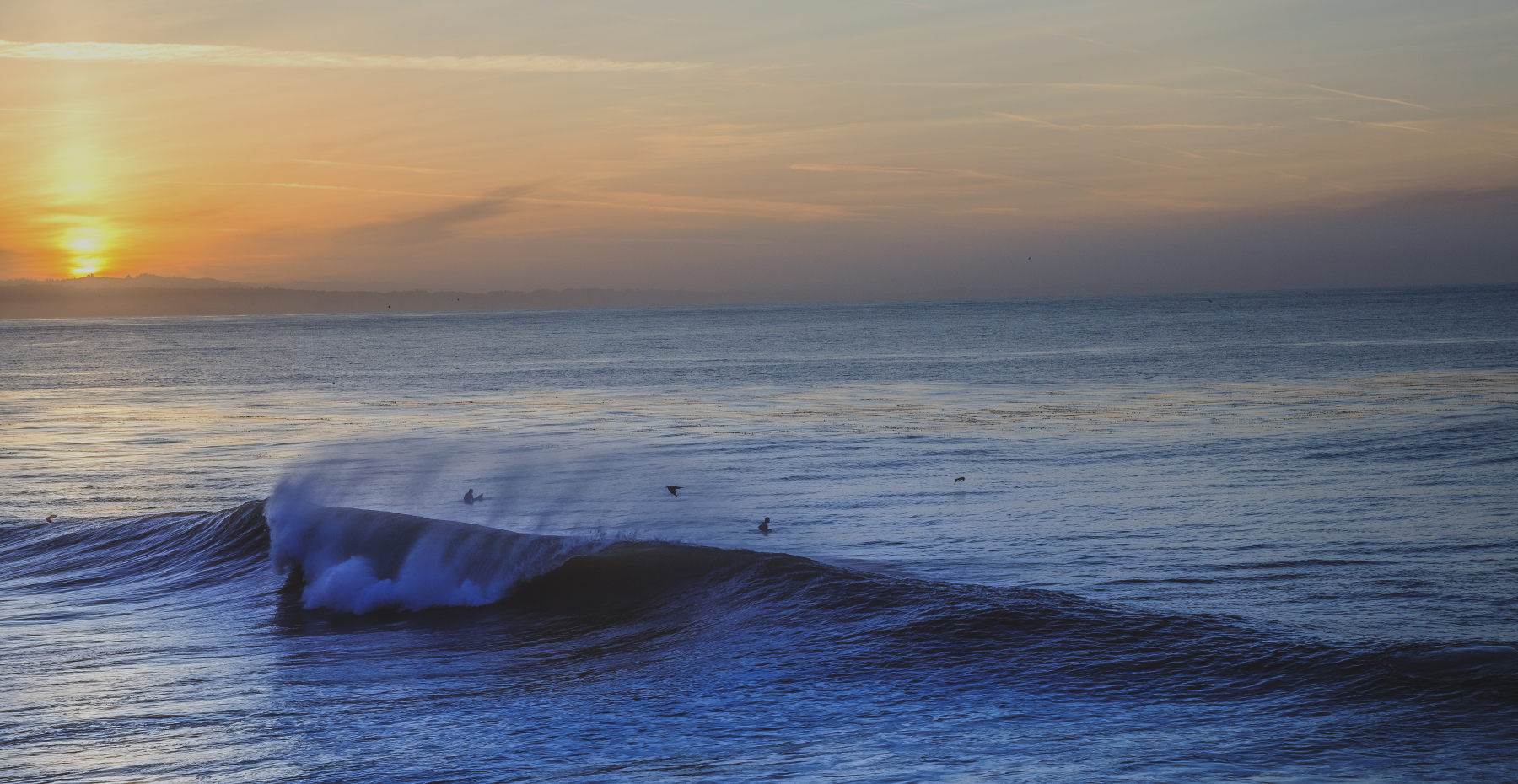 Santa Cruz landscape