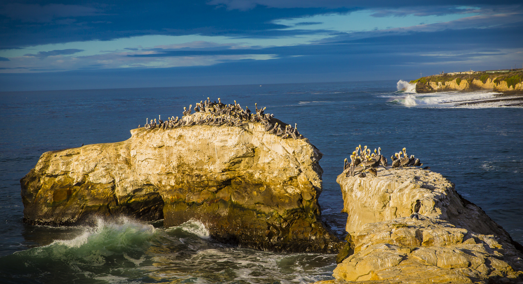 Santa Cruz landscape