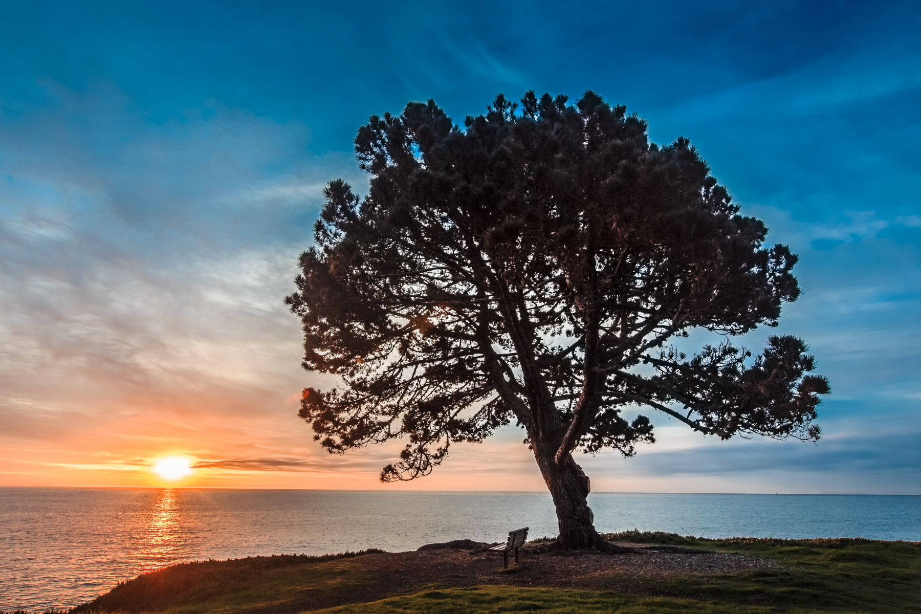 Santa Cruz landscape