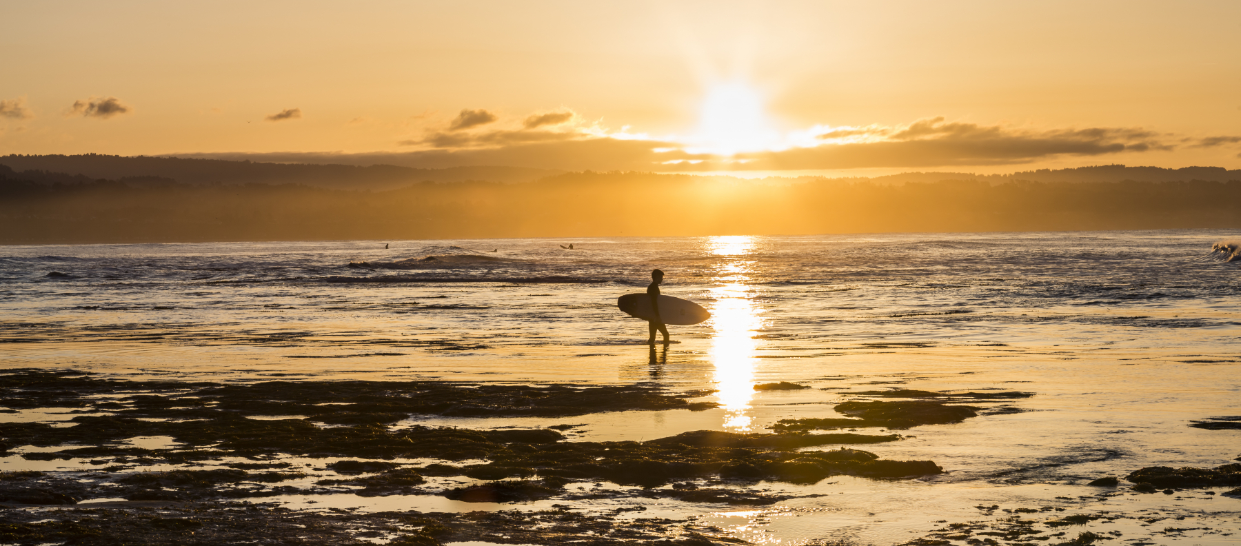 Santa Cruz landscape