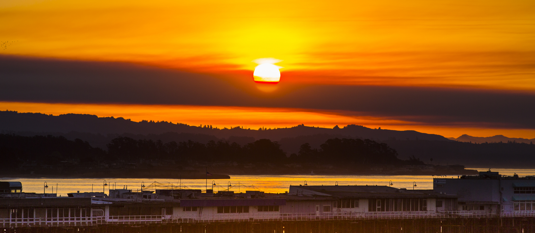 Santa Cruz landscape